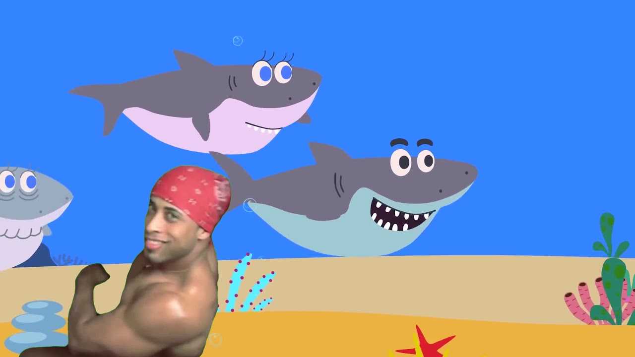 Скачать песню туруру - акуленок бесплатно и слушать онлайн | zvyki.com