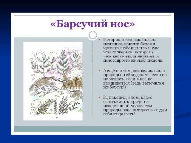 Барсучий нос