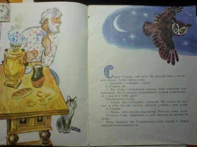 Бианки «сова»