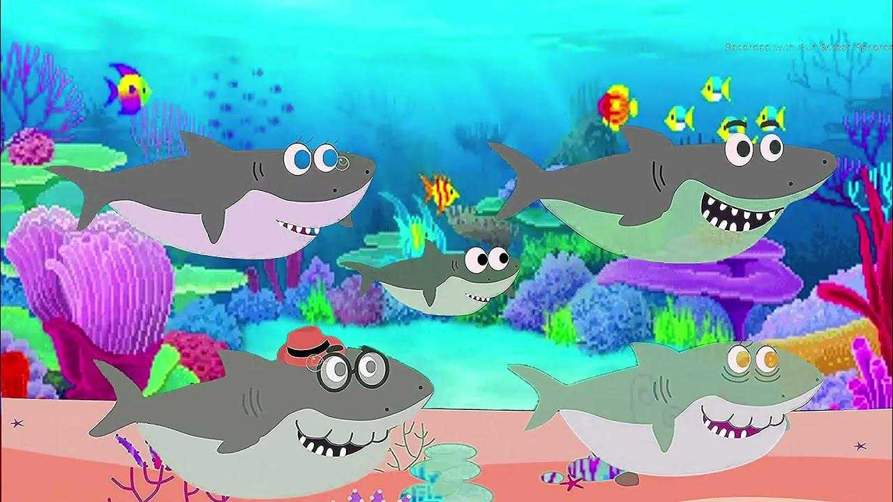 Скачать песню туруру - акуленок бесплатно и слушать онлайн | zvyki.com