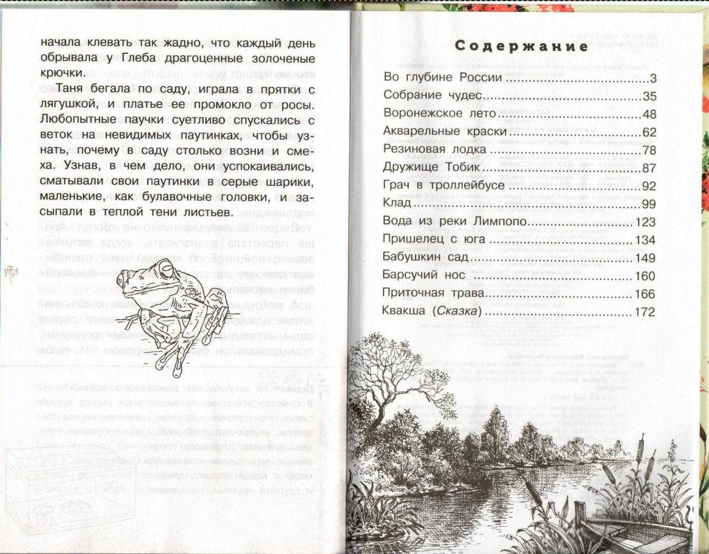 Барсучий нос