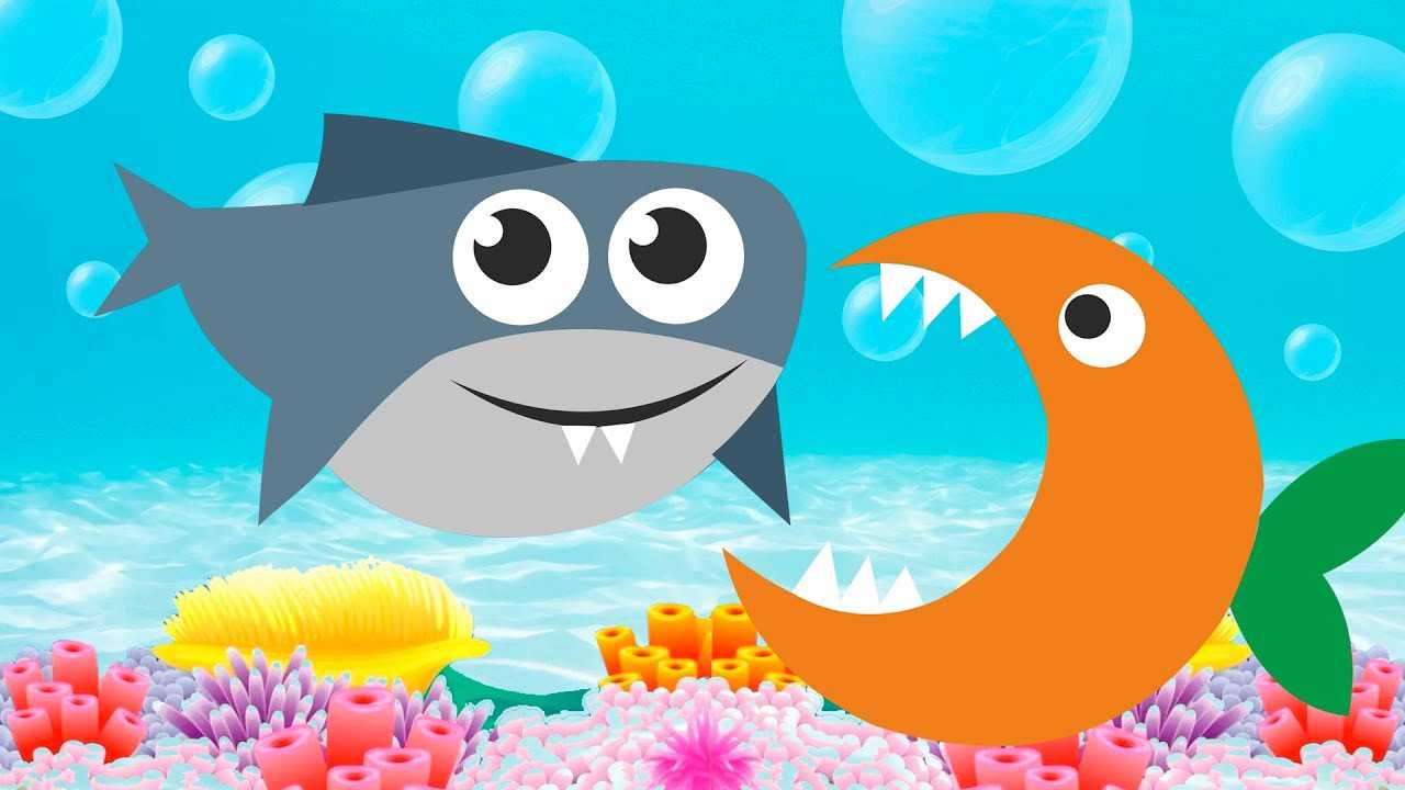 Скачать песню туруру - акуленок бесплатно и слушать онлайн | zvyki.com