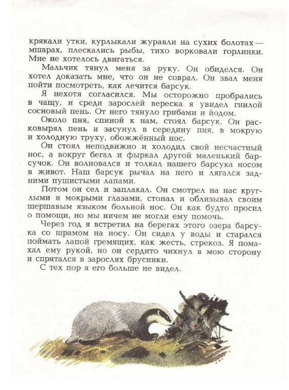 Диафильм Барсучий нос; Категория: Сказки, рассказы, повести; Студия: Диафильм; Год выпуска: 1982; Цветность: Цветной; Вид диафильма: Рисованный; Кадров: 31;