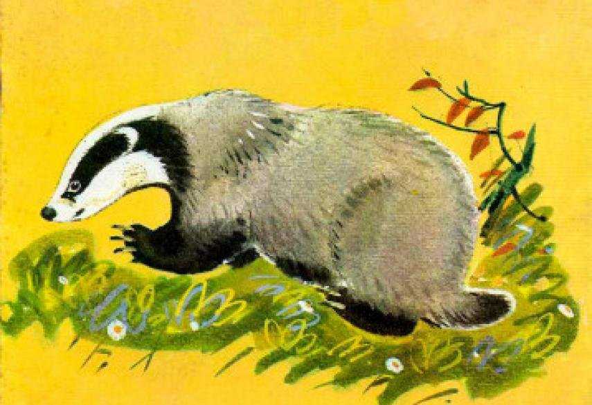 Барсучий нос - сказки паустовского: читать с картинками, иллюстрациями - сказка dy9.ru