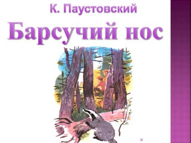Барсучий нос
