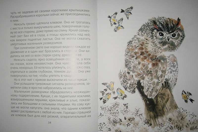 Бианки «сова» читать текст полностью
