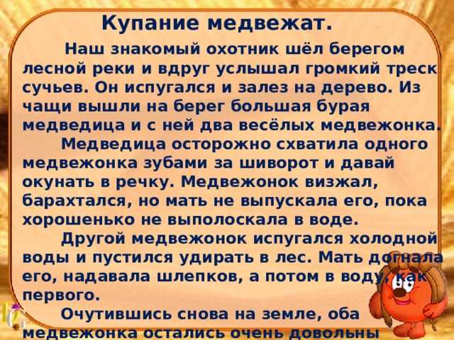 Конспект занятия по развитию речи в старшей группе. пересказ рассказа в. бианки «купание медвежат»