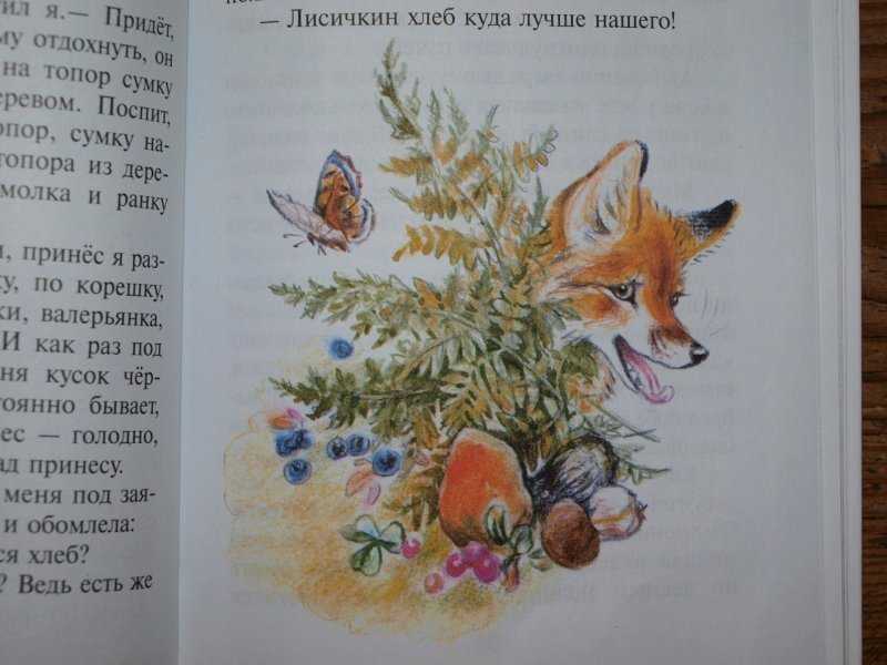 Читательский дневник «лисичкин хлеб» михаила пришвина