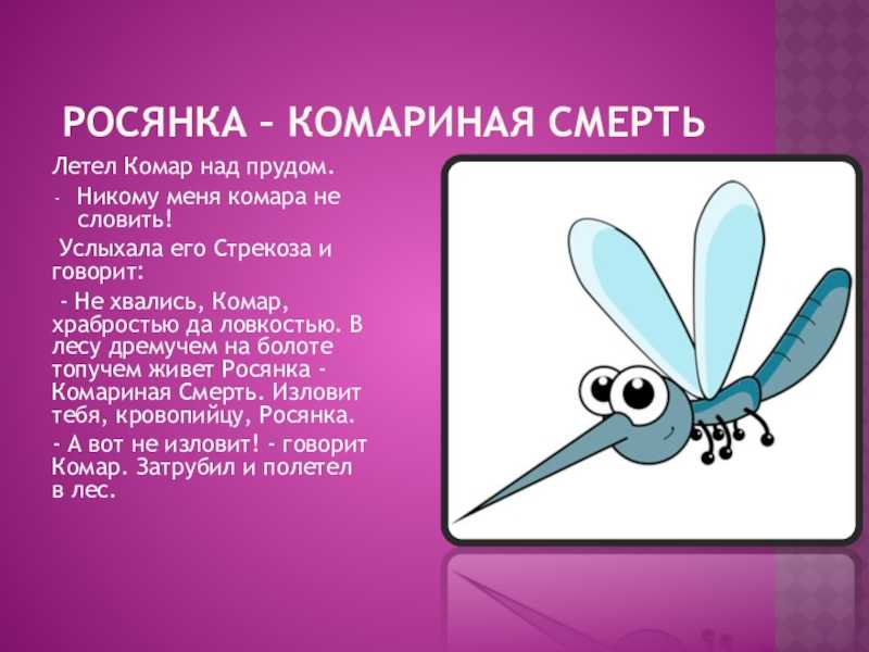 Росянка – комариная смерть виталий бианки. рассказы рассказы детям (аудио)