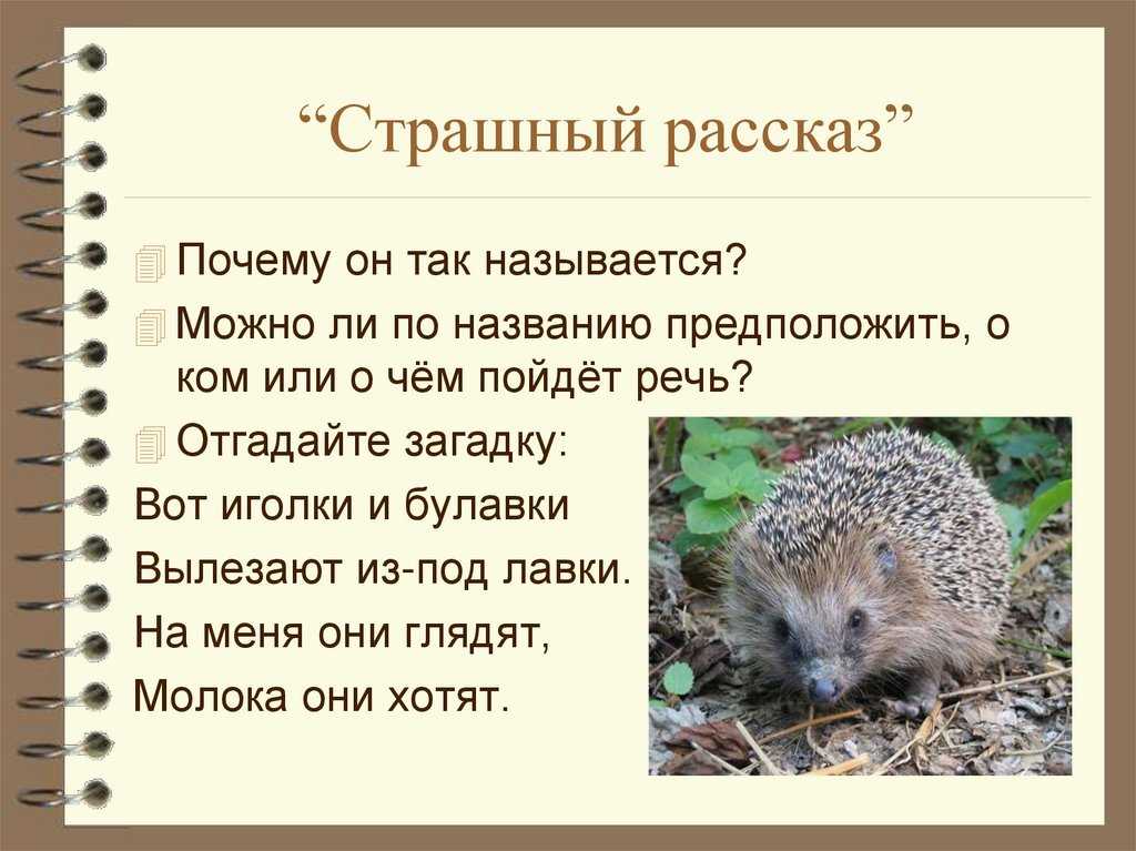 Мальчики Шура и Петя остались одни Они жили на даче — у самого леса, в маленьком домике В этот вечер папа и мама у них ушли к соседям в гости Когда стемнело,