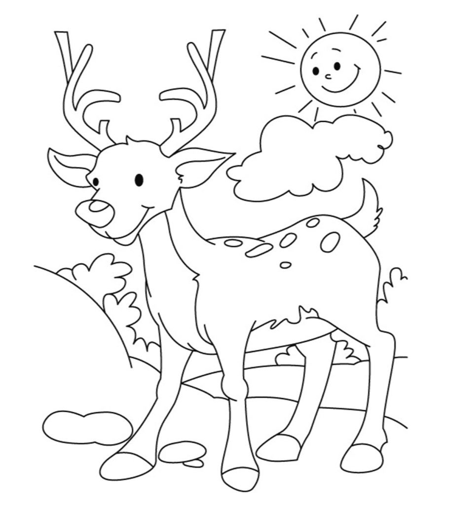 Раскраски олени - для печати - kids drawing hub