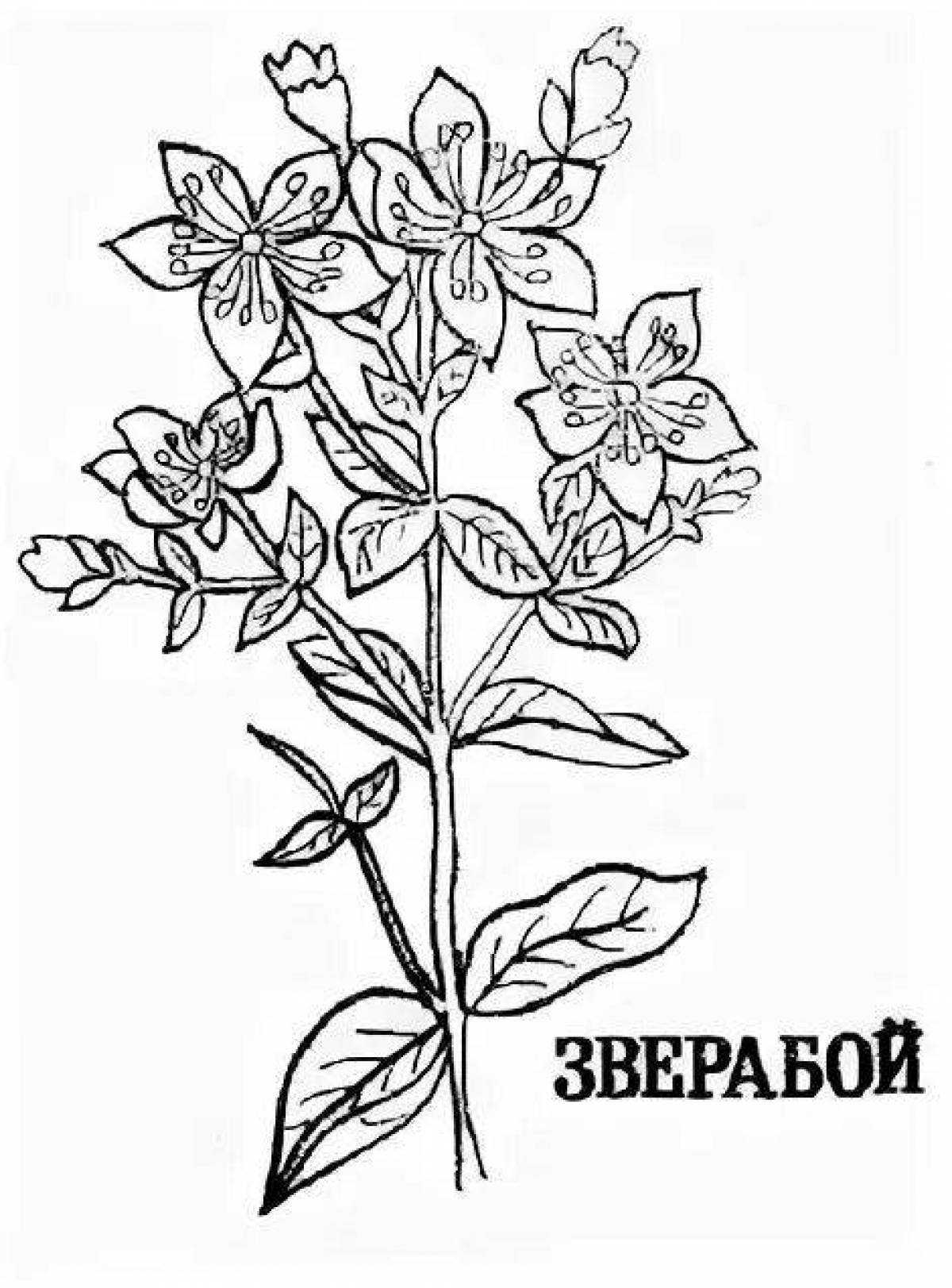 Части растений для детей: схемы и картинки