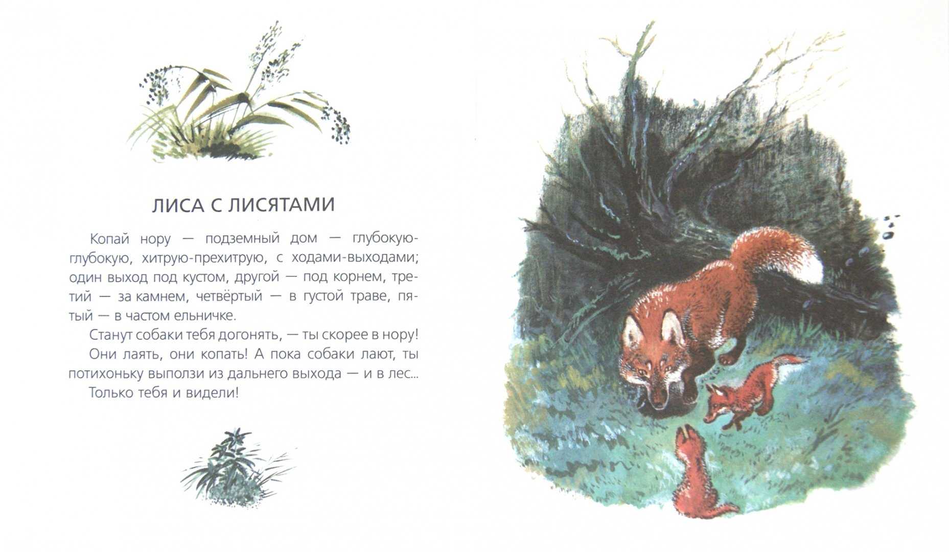 Чарушин «большие и маленькие» читать полностью бесплатно онлайн