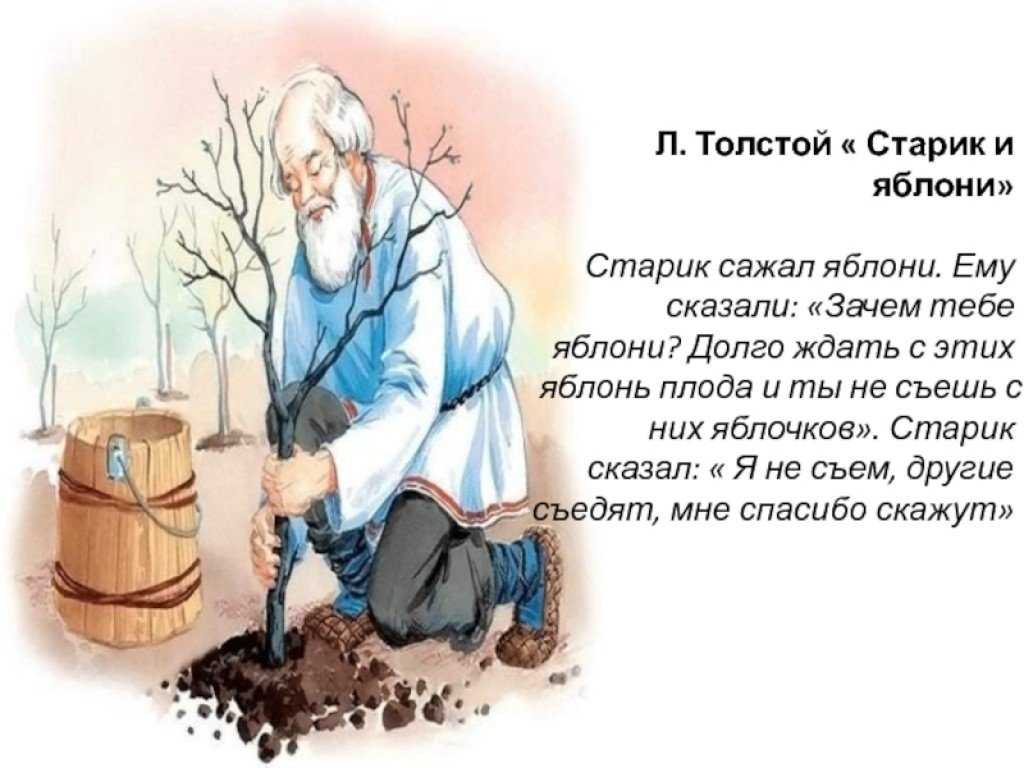 Рассказы толстого льва николаевича – наумёнок