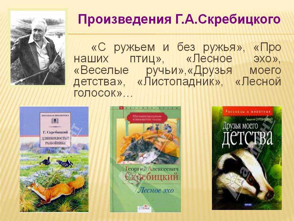 Георгий скребицкий ★ грач. галка. сорока читать книгу онлайн бесплатно