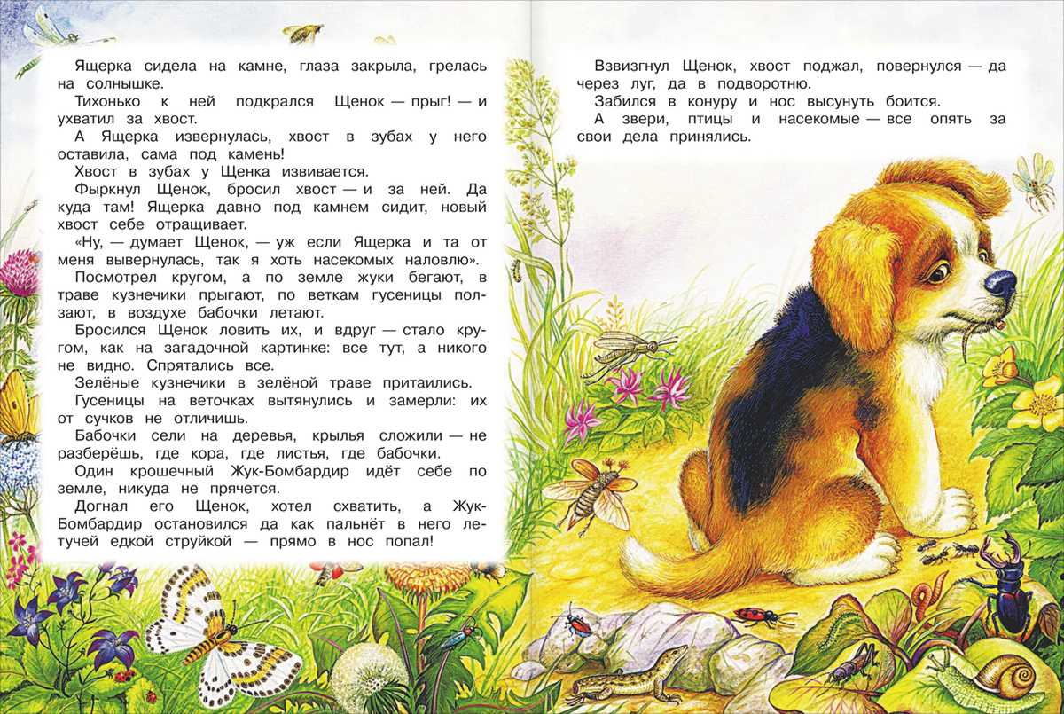 Виталий бианки ★ первая охота читать книгу онлайн бесплатно