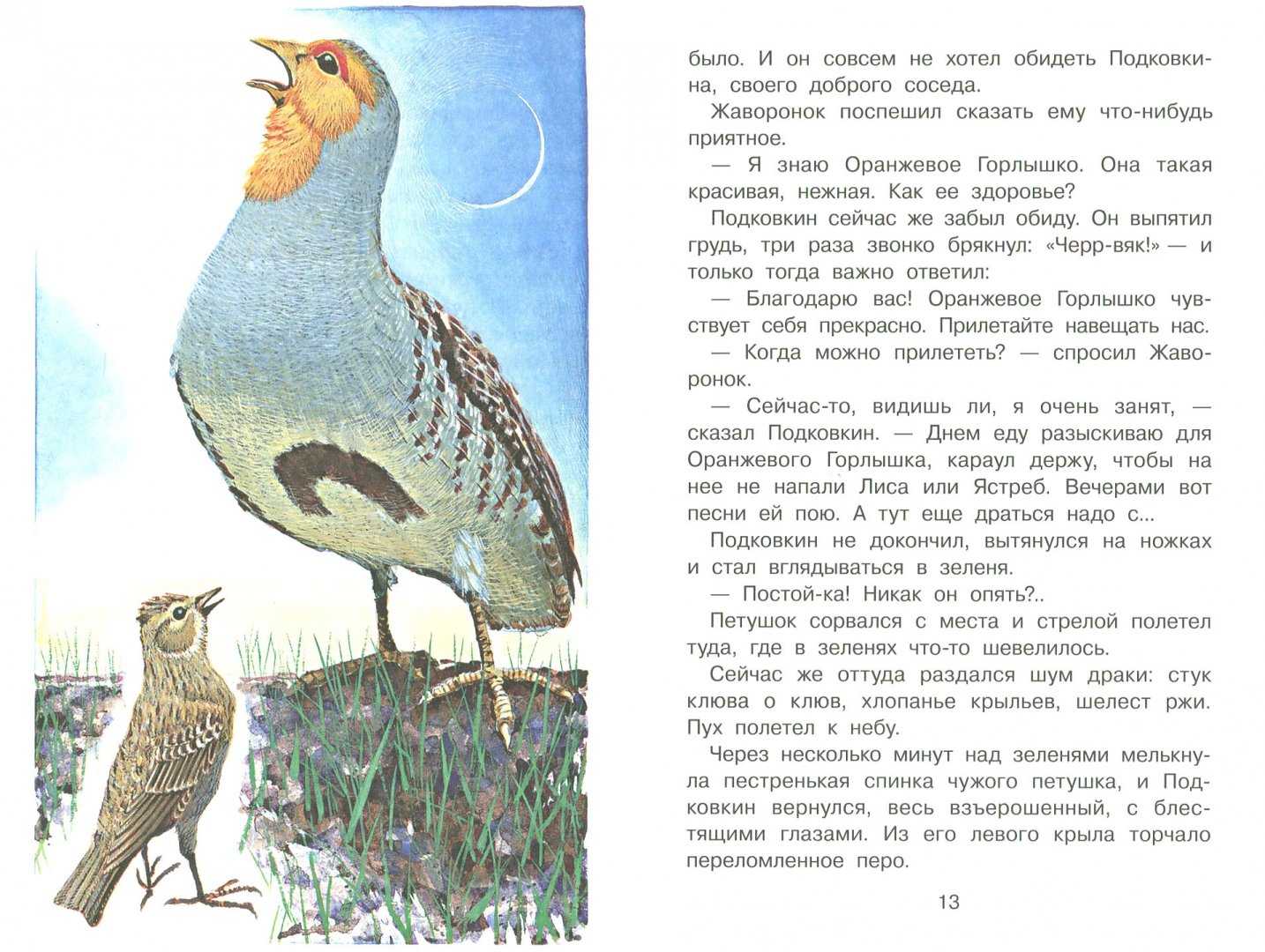 Виталий бианки ★ оранжевое горлышко читать книгу онлайн бесплатно