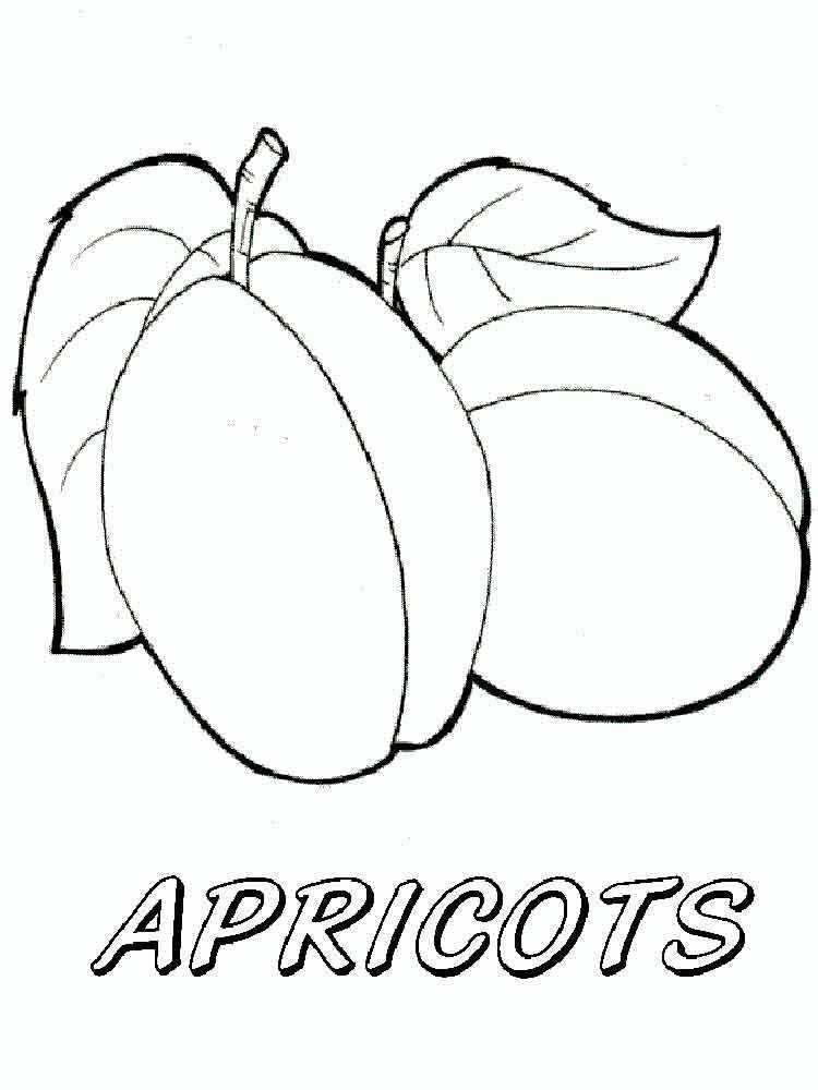 Раскраски абрикос: каталог картинок для детей.