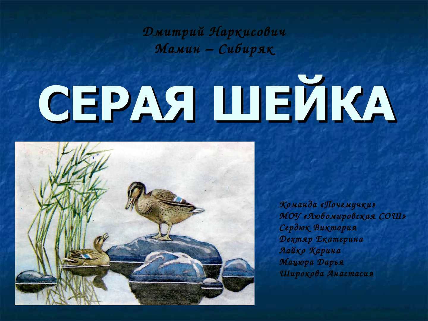 Мамин сибиряк серая шейка краткое содержание. Мамин Сибиряк серая шейка. Д Н мамин Сибиряк серая шейка. План серая шейка мамин Сибиряк. Мамин Сибиряк серая шейка кроссворд.