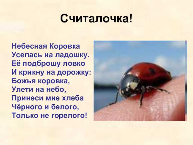 Песни буренки даши - слушать саундтрек к мультику