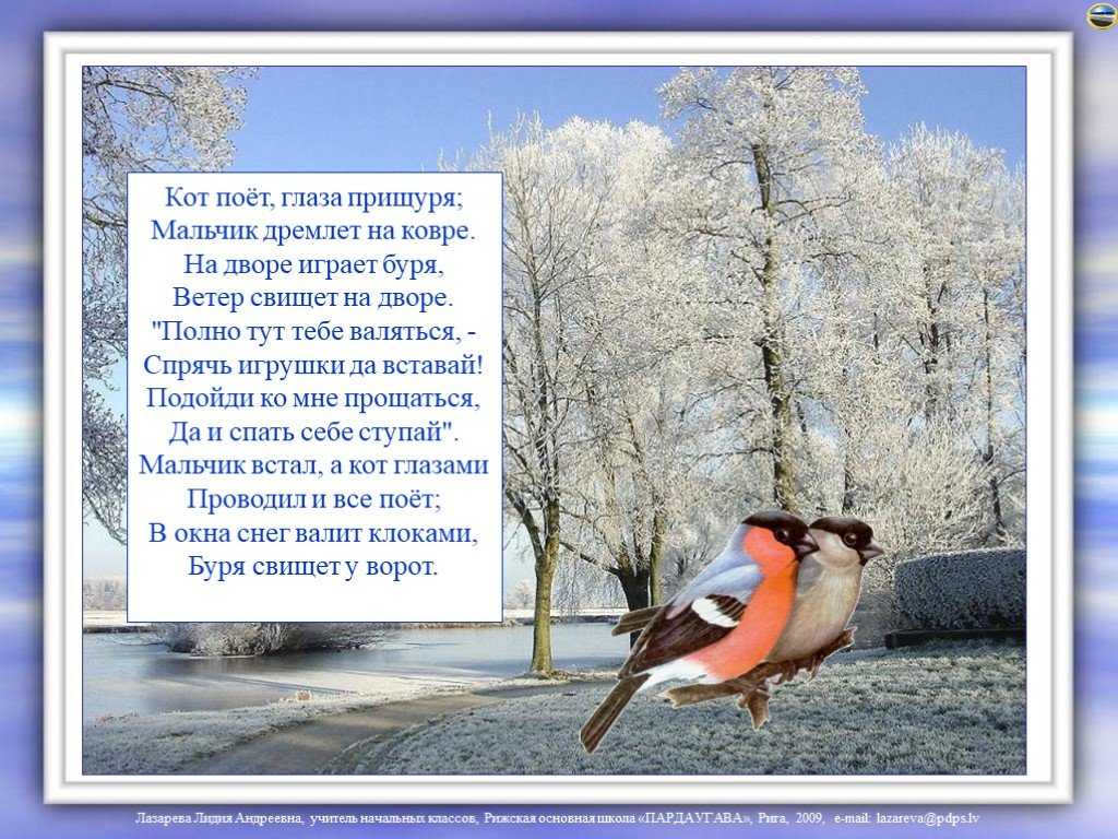 Все стихи маршака про котят