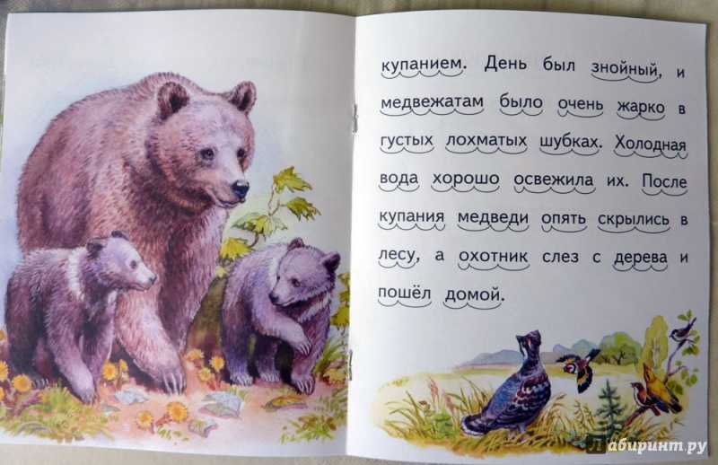 Медведь читать рассказ. Купание медвежат Бианки. Произведения Бианки купание медвежат. Чарушин купание медвежат. Книга купание медвежат Бианки.