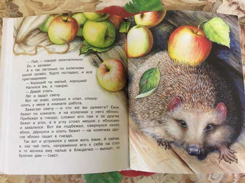 Михаил  пришвин - биография, лучшие книги, цитаты, рецензии и факты на readly.ru