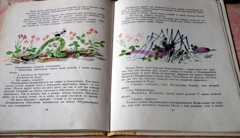 Приключения муравьишки