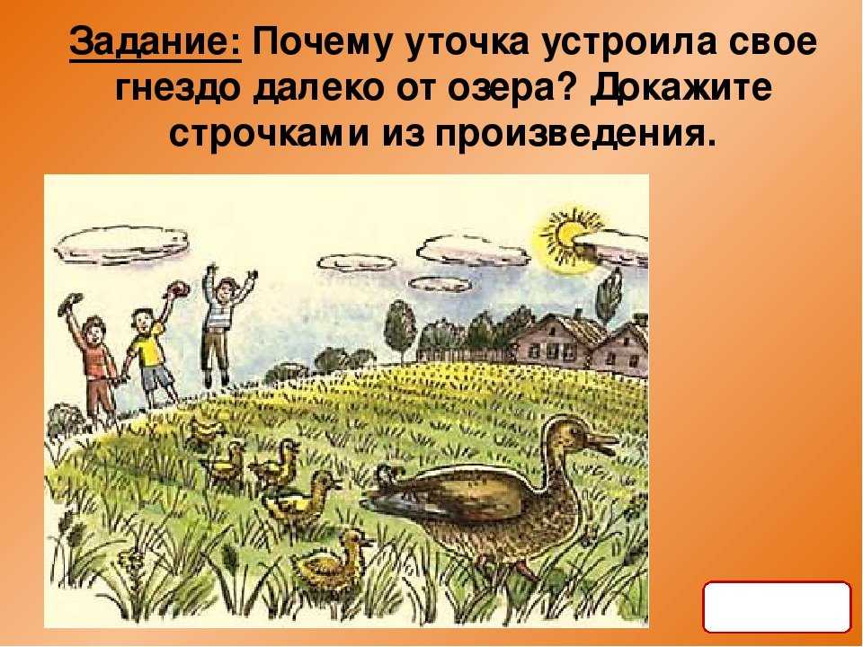 Ребята и утята — читать с картинками — пришвин михаил ✍ библиотека школьника > электронный ресурс