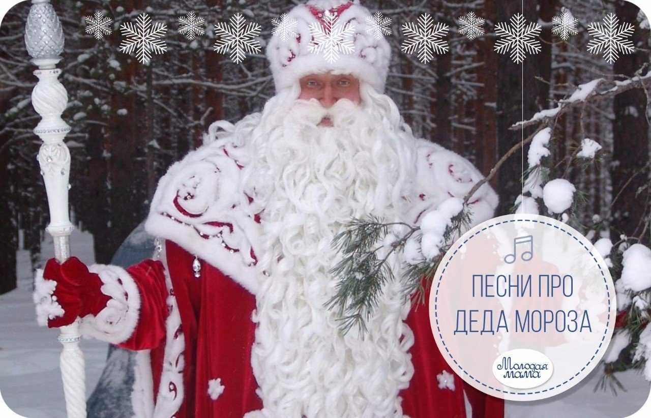 Новогодняя игра
						шел по лесу дед мороз