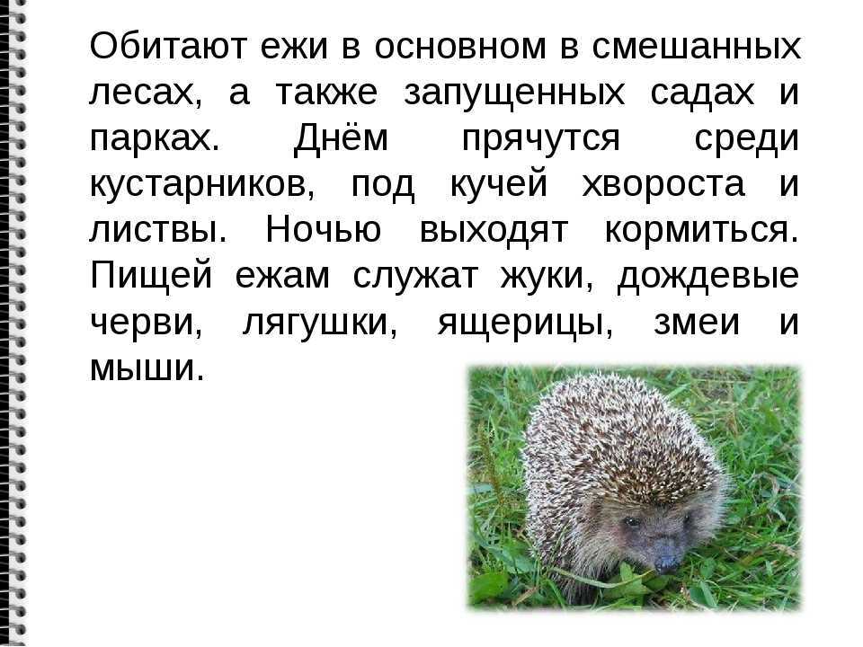 Мальчики Шура и Петя остались одни Они жили на даче — у самого леса, в маленьком домике В этот вечер папа и мама у них ушли к соседям в гости Когда стемнело,