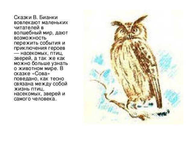 Сова — сказка виталия бианки