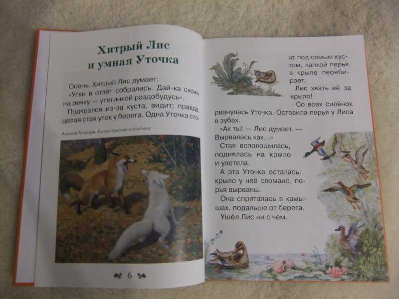 Произведения о животных 4 класс литературное чтение