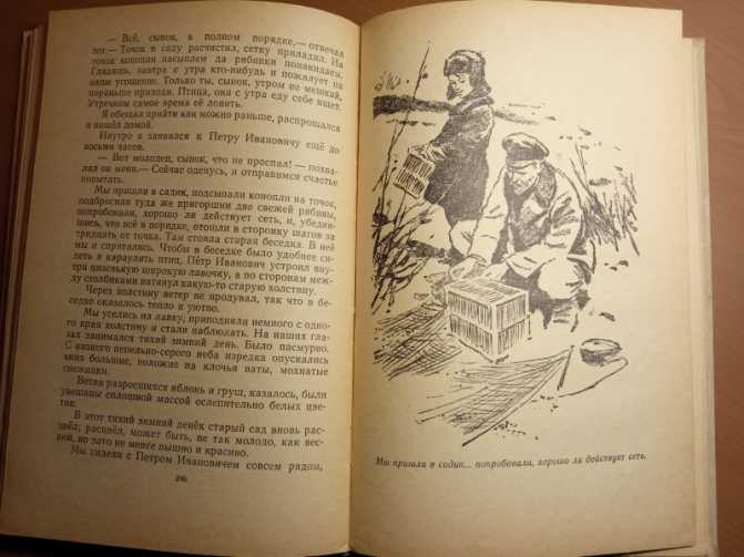 Сиротка — рассказ георгия скребицкого