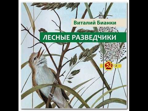 Рассказы бианки для детей 1-3 класса