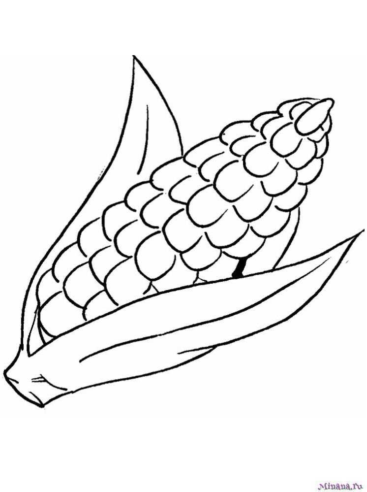 Раскраски кукуруза — для печати и бесплатно для детей | gbcoloring