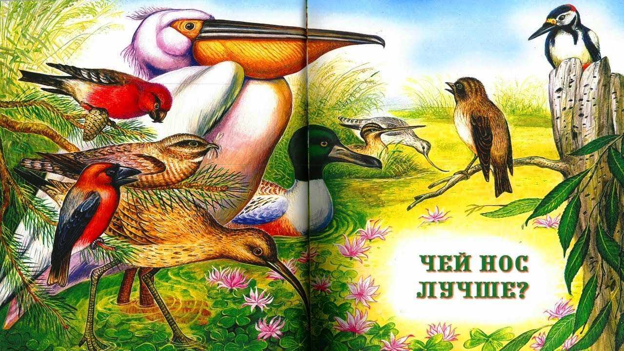 Бианки «чей нос лучше?»