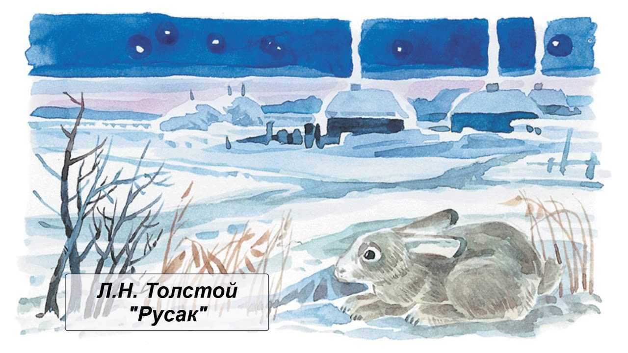 Толстой русак. Лев Николаевич толстой Русак. Рисунок к рассказу Русак Толстого. Рассказ Русак толстой. Иллюстрация к рассказу л. Толстого Русак.