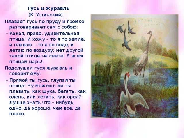 Анализ сказки гусь и журавль. урок по литературному чтению "к. д. ушинский " гусь и журавль""