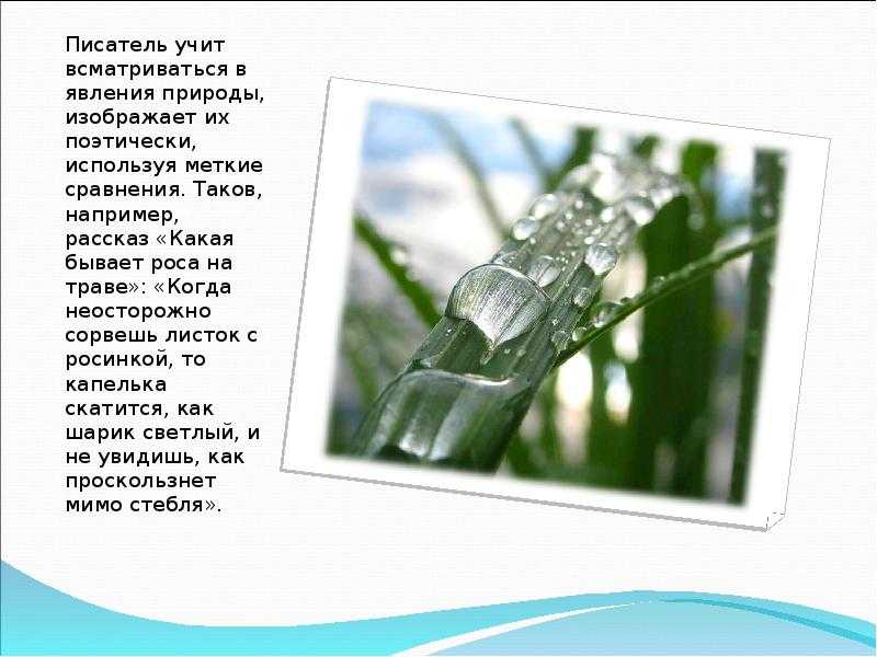 Понемногу: ответы на вопросы учебника к разделу "люби всё живое" для 3 класса