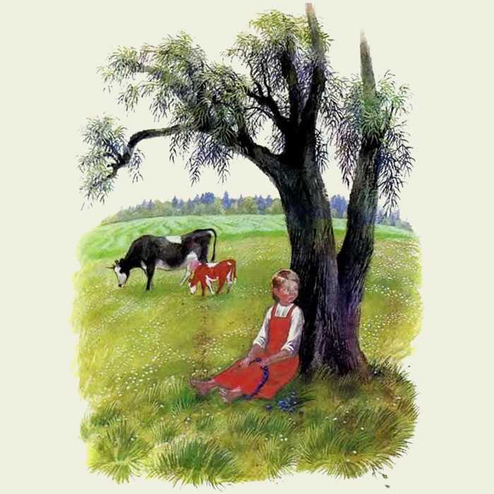 Бодливая корова. к. ушинский