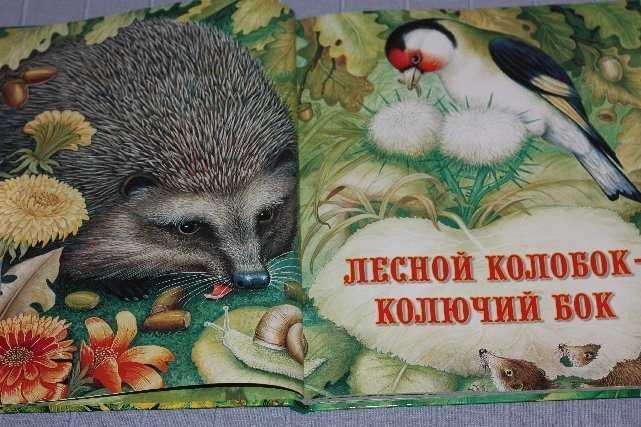 Слушайте с удовольствием сказку Виталия Лесной колобок - колючий бок Мы собираем для вас лучшие аудиосказки и рассказы
