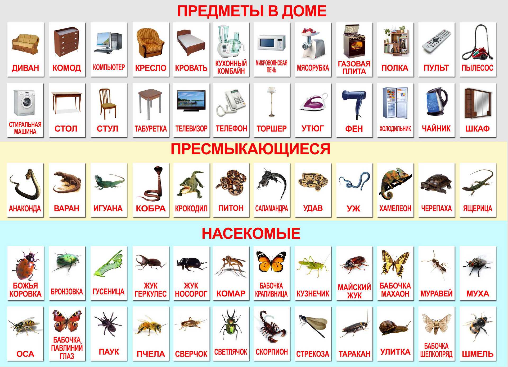 Раскраски Глаза заинтересуют талантливых малышей с первого взгляда Чтобы успешно начать творческий процесс, надо скачать раскраски Глаза с данного сайта и распечатать контурные картинки в формате А4 для детей
