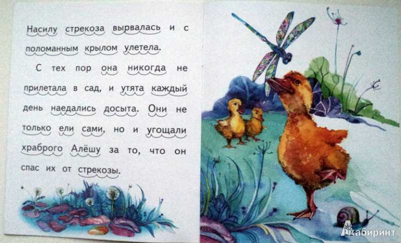 Храбрый утенок