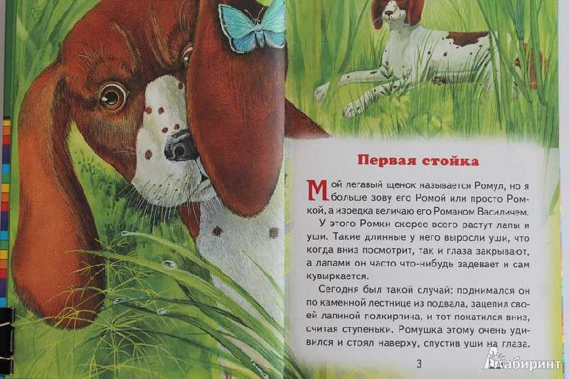 Рассказы о животных, 2-3 класс. михаил пришвин