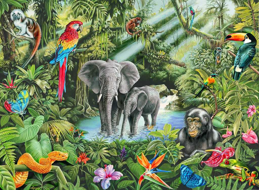 Джунгли (jungle) | раскраски для детей: 8 разукрашек распечатать