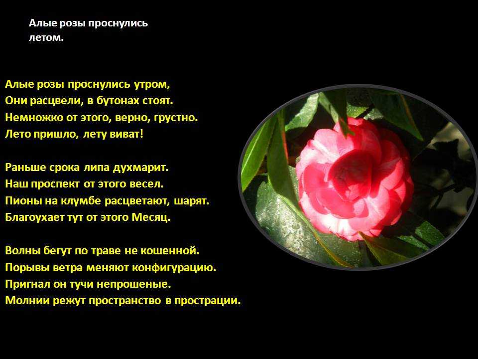 Скачать песню большой детский хор - волшебный цветок бесплатно и слушать онлайн | zvyki.com