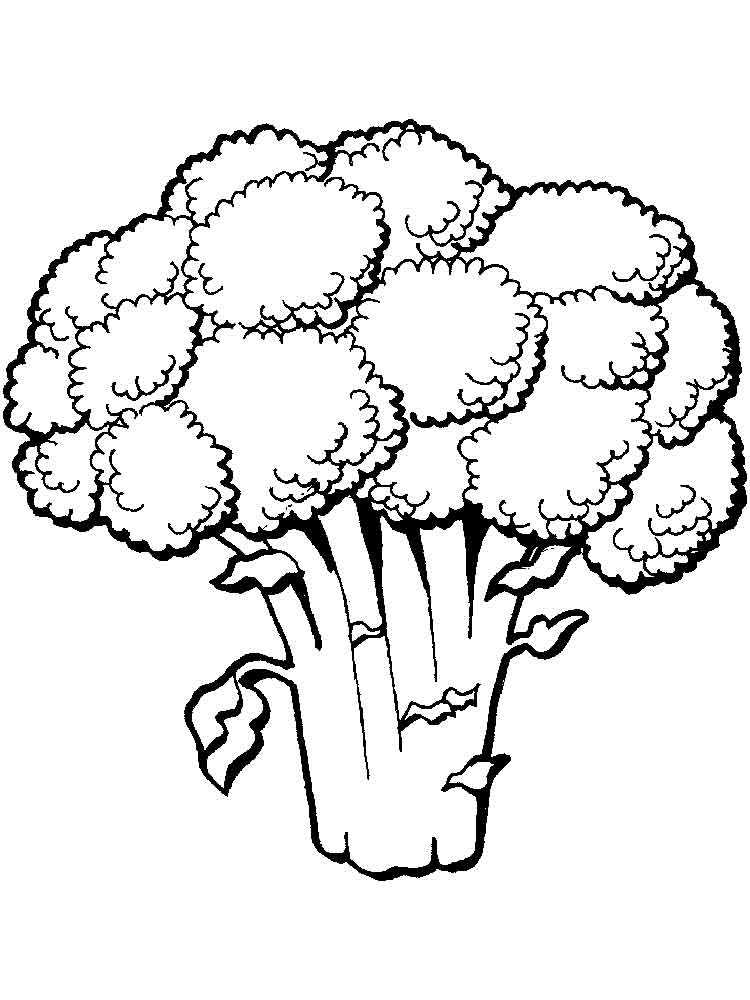 Раскраски брокколи