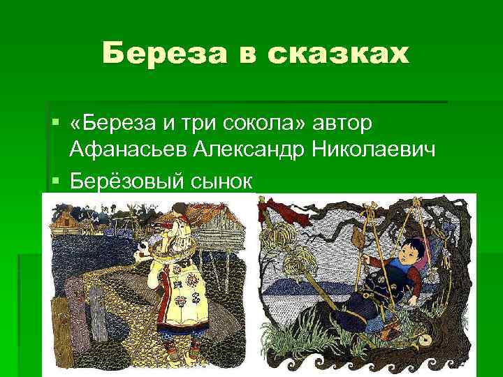 Владимир токарев: сказка «береза и три сокола». волшебные сказки от консультанта по управлению