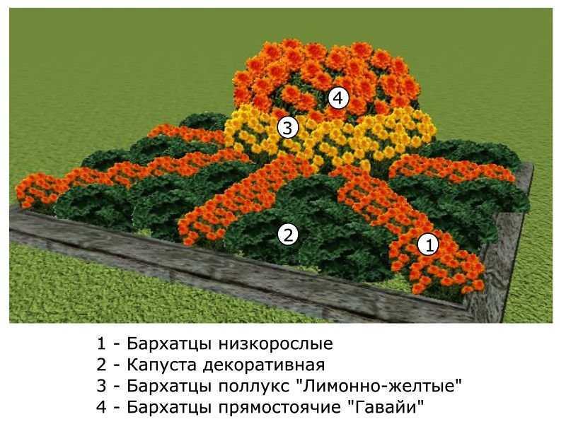 Цветы для клумбы - самые лучшие (100 фото) - клумбы и ландшафтный дизайн